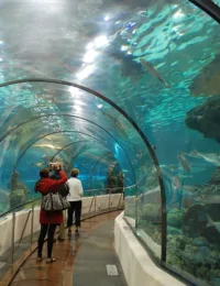 oceanarium barcelona